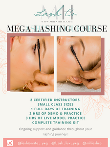 Mega Volume/Styling Training