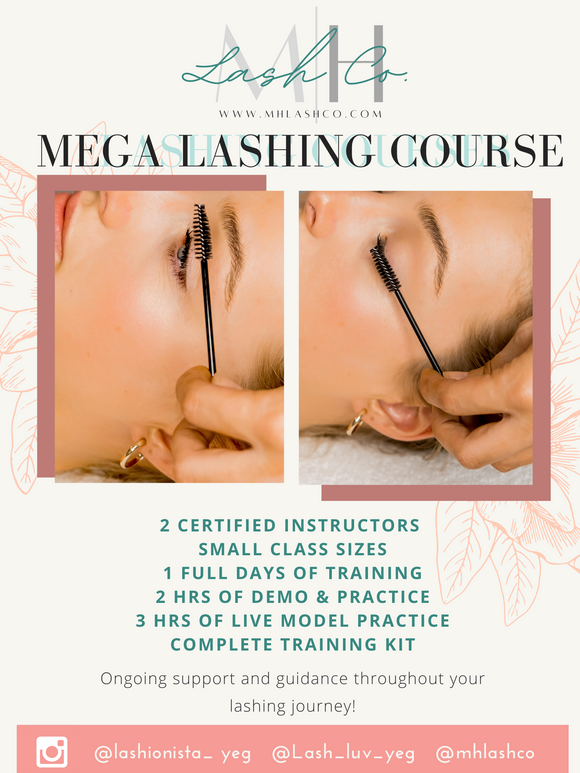 Mega Volume/Styling Training