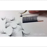 Satin Black Lashes
